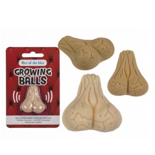 612755-growing-TESTICLE